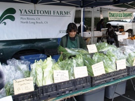 Hollywood Farmers' Market