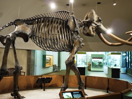 Page Museum at the La Brea Tar Pits