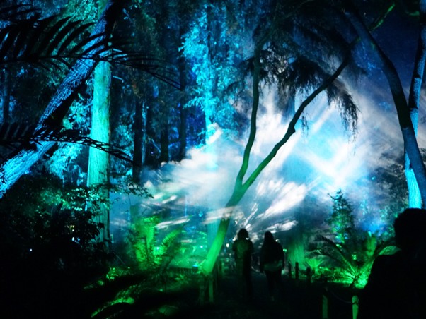 Descanso Gardens' Enchanted Forest of Light